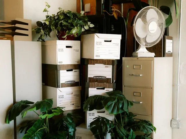Archivkartons und Aktenschrank für einen Büroumzug